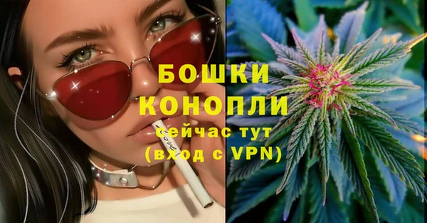 мдпв Болхов