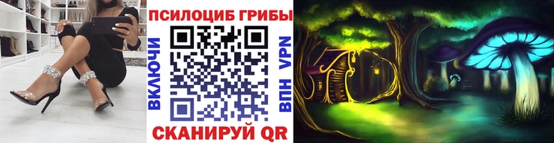 blacksprut ONION  что такое   Безенчук  Псилоцибиновые грибы MAGIC MUSHROOMS 